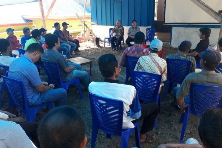 temu tani mitratani cassava sinjai budidaya ubi kayu singkong berkualitas